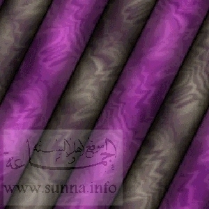 violet stripes خطوط بنفسجية