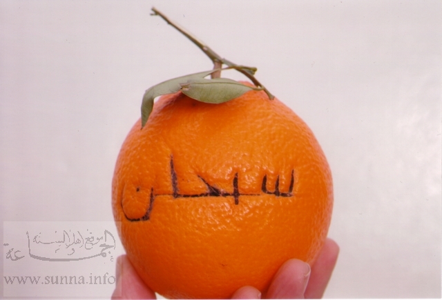 Sobhan est ecrit sur une orange trouve en tunisie