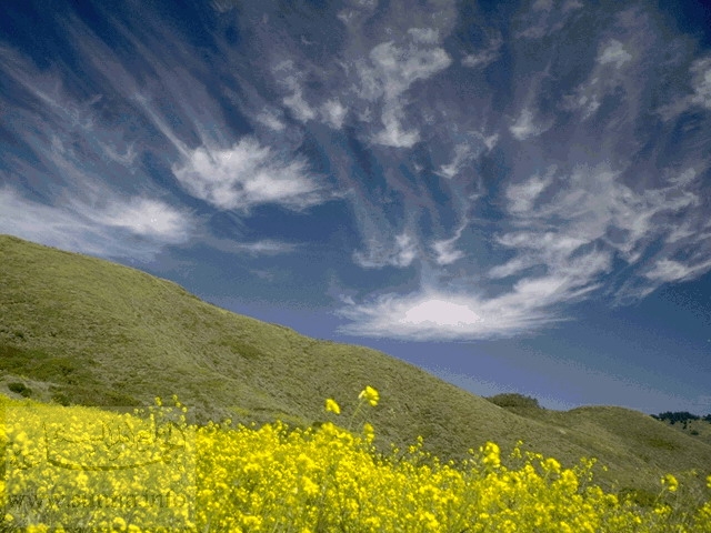 Le nom d'ALLAH est ecrit  par les nuages