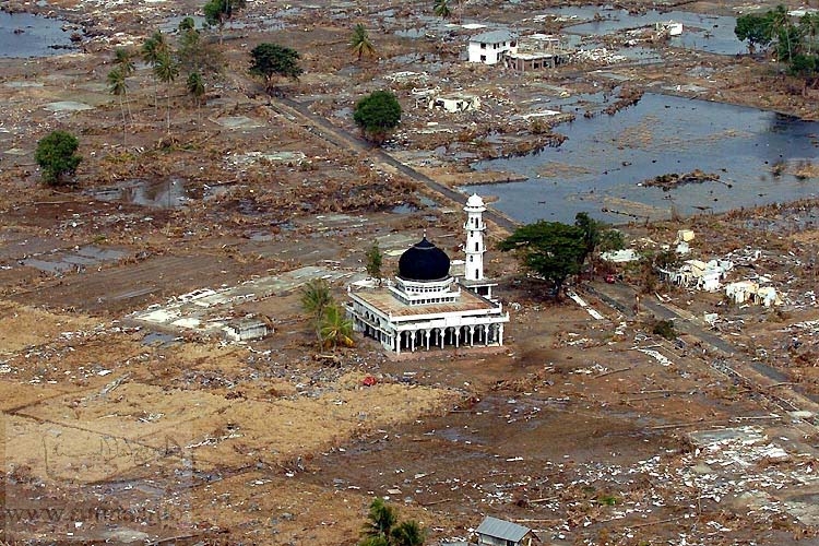 Tsunami,فاعتبروا يا اولي الألباب، تسونامي,