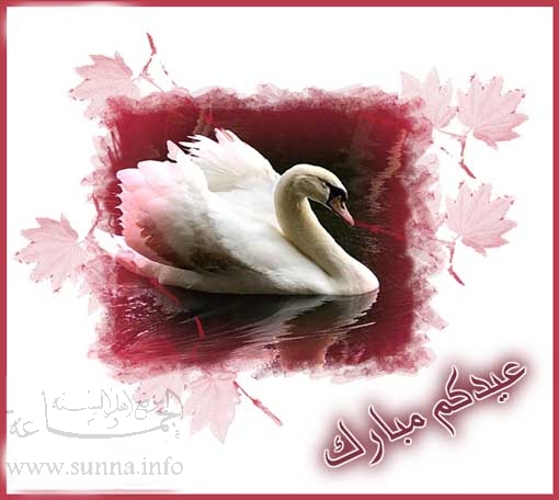 عيد سعيد عيد أضحى مبارك  eid