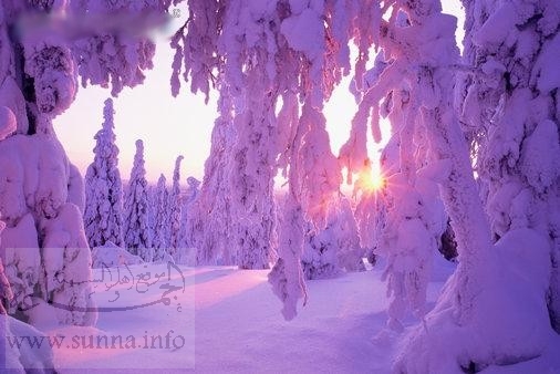 morning in lapland