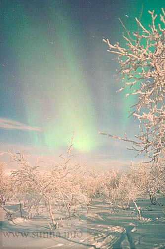 northen lights