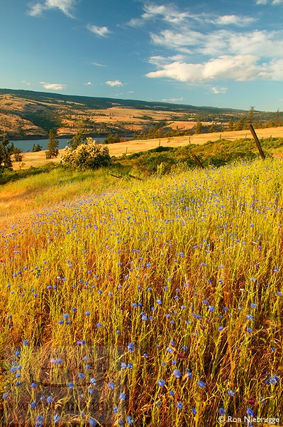 مناظر طبيعية Landscape