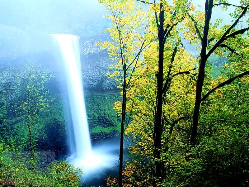 Dreamy waterfall منظر خلاب