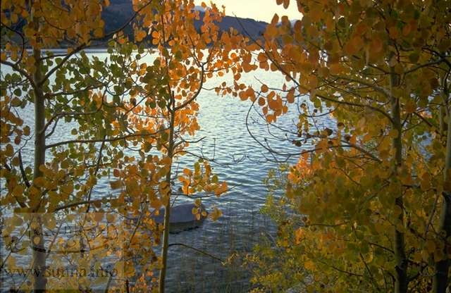 البحيرة في الخريف