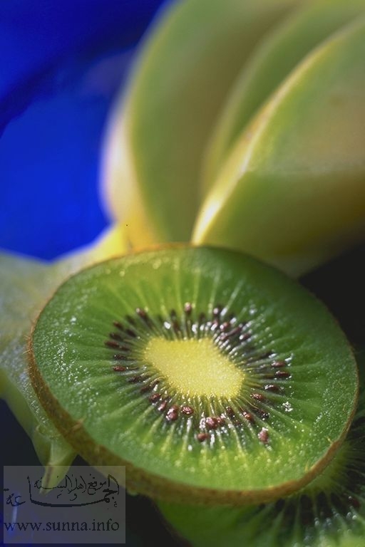 kiwi كيوي