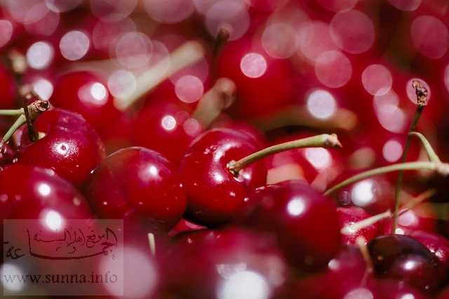 Cherry كرز الكرز