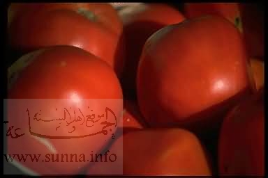 Tomato بندورة طماطم