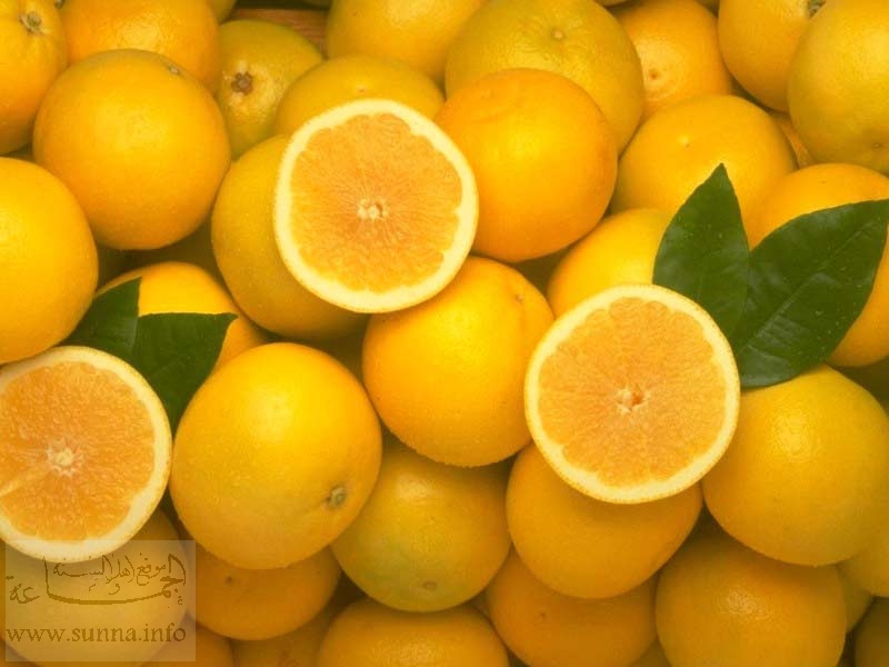 تتمة صورنباتات طبية  Yellow-oranges