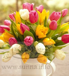 nice flowers for you