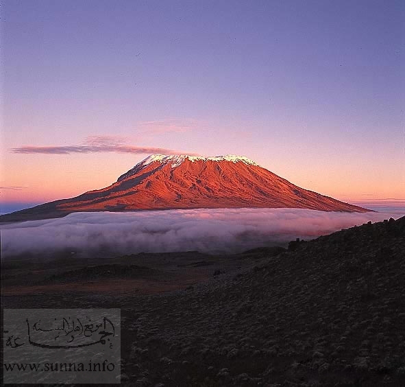 kilimanjaro كيليمنجارو