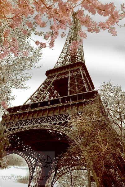 Eiffel tower spring برج ايفل