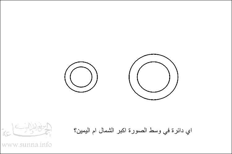 دائرة كبيرة