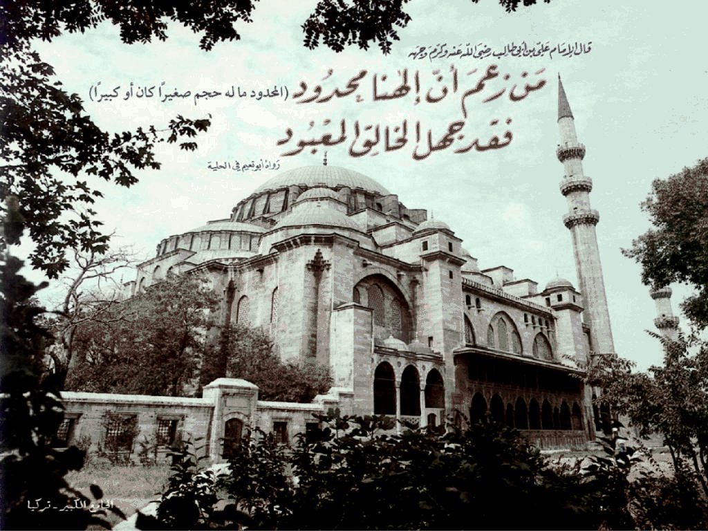 Turki Mosque مسجد في تركيا