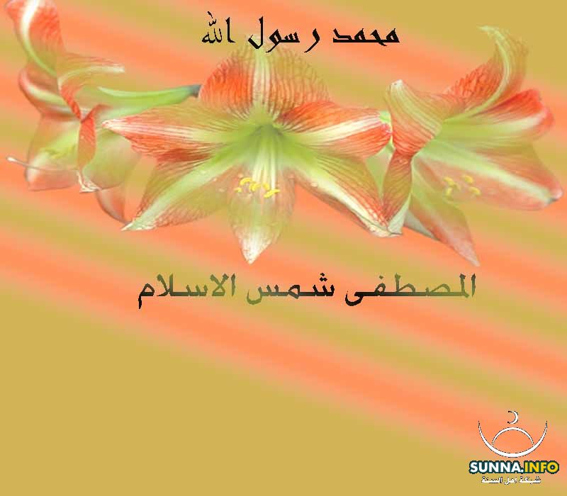 حبيبي يا رسول الله