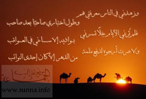 شعر