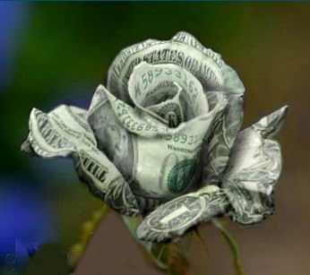 A Dollar rose   وردة بدولار ام دولار بوردة