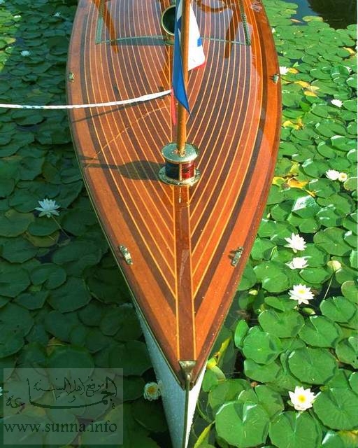 قارب خشبي جميل بين أزهار اللوتس
