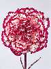 زهرة القرنفل Carnation