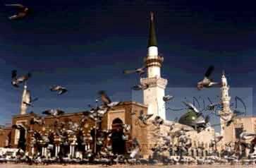 Madinah مدينة