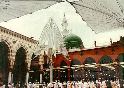 Greendome لقطة جميلة للقبة الخضراء