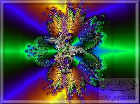 color salad ألوان