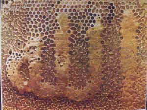 Honey,لفظ الجلالة
