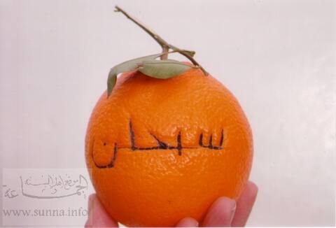 Sobhan est ecrit sur une orange trouvée en tunisie