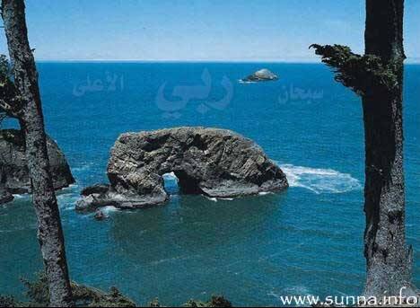 Sakhra Sajedah صورة لصخرة كانها ساجدة