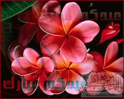 Eid Mubarak عيدكم مبارك