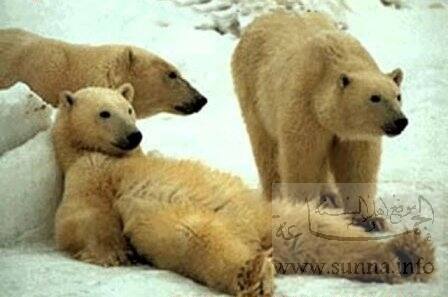 Having a break? بعد الأكل؟